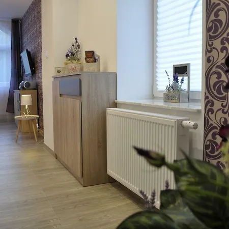Apartament Centrum Lawendowy 克雷尼察